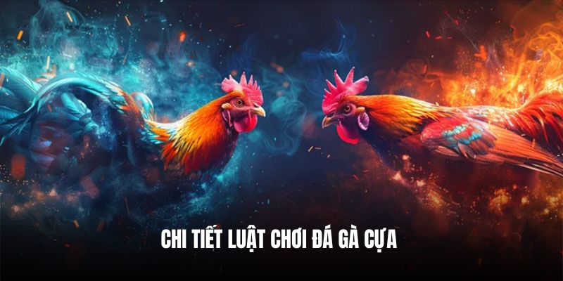 Chi tiết luật chơi đá gà cựa