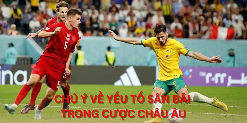 Chú ý về yếu tố sân bãi trong cược Châu Âu