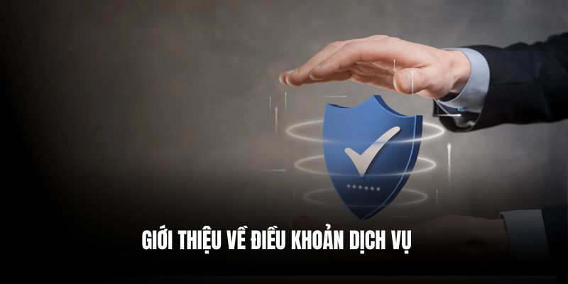 Giới thiệu về điều khoản dịch vụ