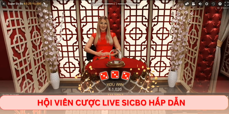 Hội viên cược live Sicbo hấp dẫn
