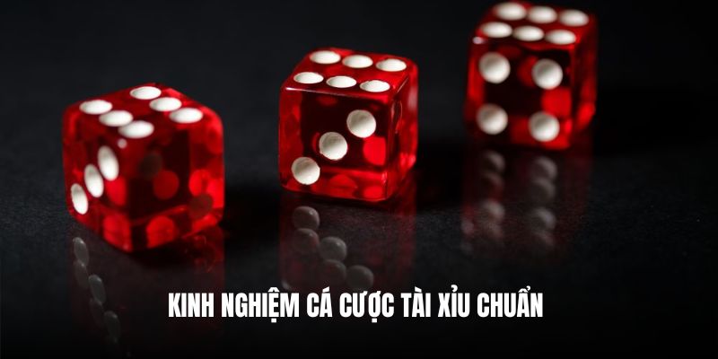 Kinh nghiệm cá cược Tài xỉu chuẩn