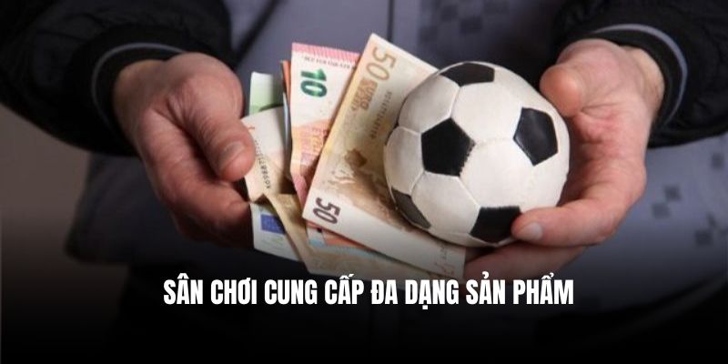 Sân chơi cung cấp đa dạng sản phẩm