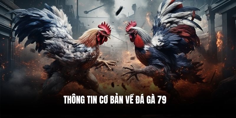 Thông tin cơ bản về Đá gà 79