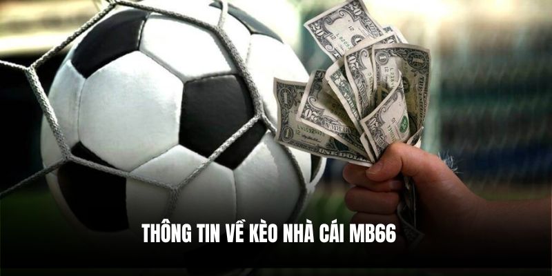 Thông tin về kèo nhà cái Mb66
