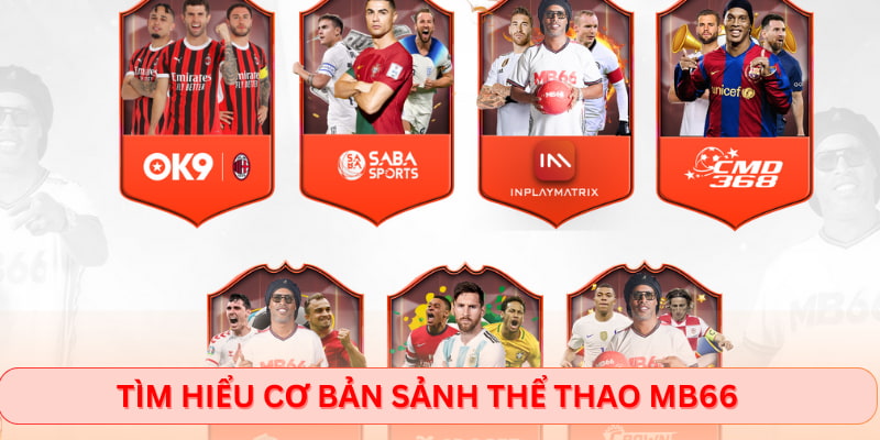 Tìm hiểu cơ bản sảnh Thể thao Mb66