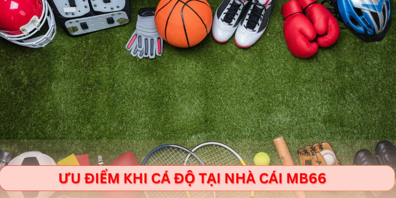 Ưu điểm khi cá độ tại nhà cái Mb66