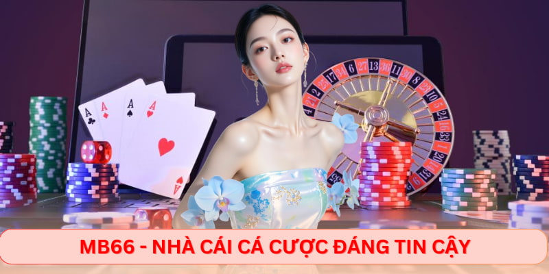MB66 - Nhà cái cá cược đáng tin cậy